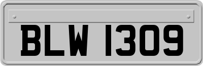 BLW1309