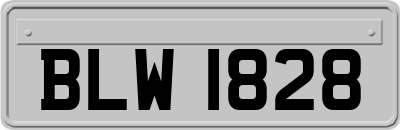 BLW1828