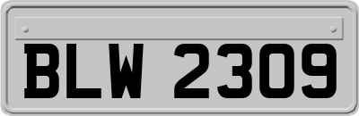 BLW2309