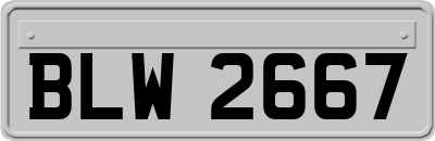 BLW2667