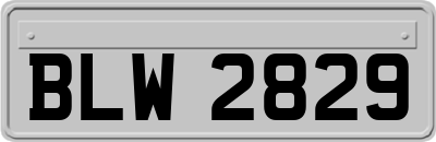 BLW2829