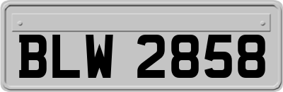 BLW2858