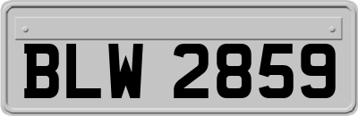BLW2859