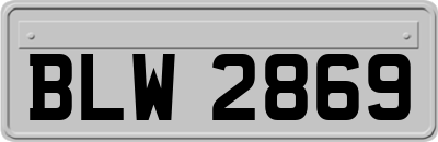 BLW2869