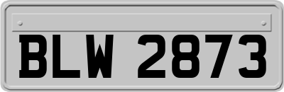 BLW2873