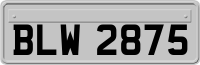 BLW2875