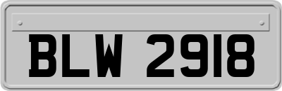 BLW2918