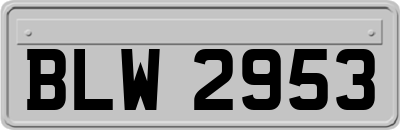 BLW2953