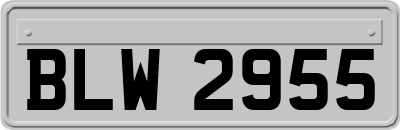 BLW2955