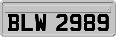 BLW2989