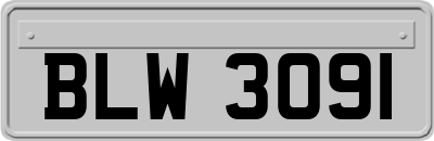 BLW3091