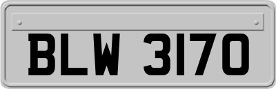 BLW3170