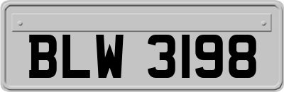 BLW3198