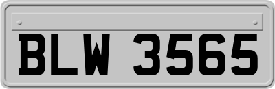 BLW3565