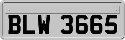 BLW3665