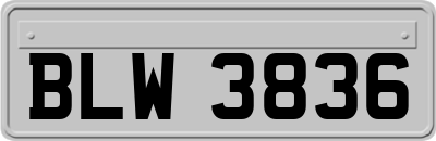 BLW3836