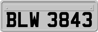 BLW3843