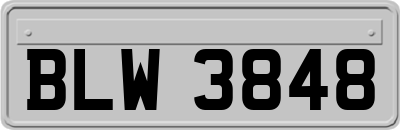 BLW3848
