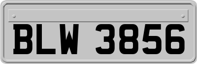 BLW3856