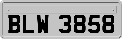 BLW3858
