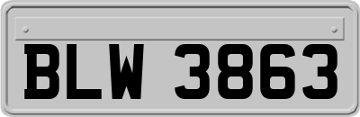 BLW3863
