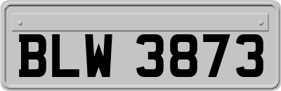 BLW3873
