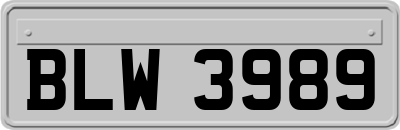 BLW3989