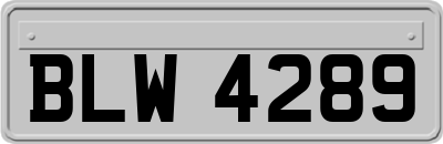BLW4289