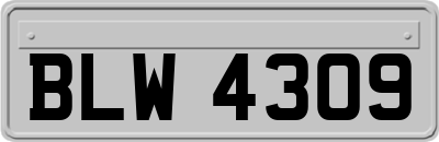 BLW4309
