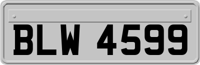 BLW4599
