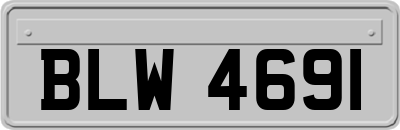 BLW4691