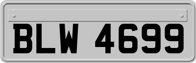 BLW4699