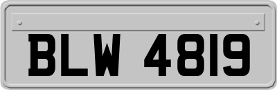 BLW4819