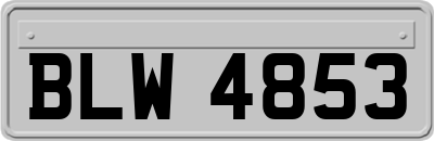 BLW4853