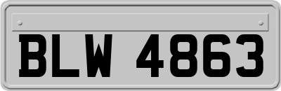 BLW4863