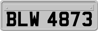 BLW4873