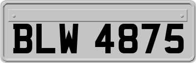 BLW4875