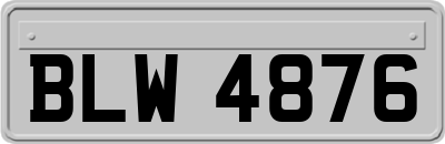 BLW4876