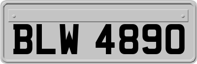 BLW4890