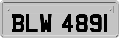 BLW4891