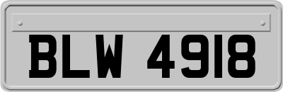 BLW4918