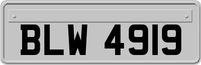 BLW4919
