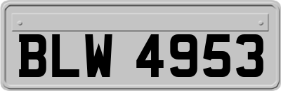 BLW4953