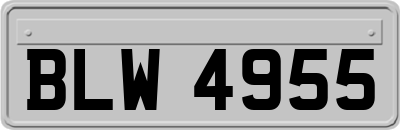 BLW4955