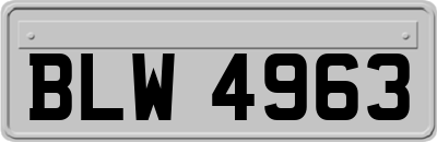 BLW4963