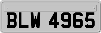 BLW4965