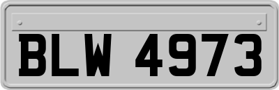 BLW4973