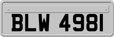 BLW4981