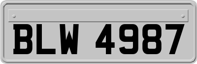 BLW4987