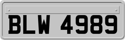 BLW4989